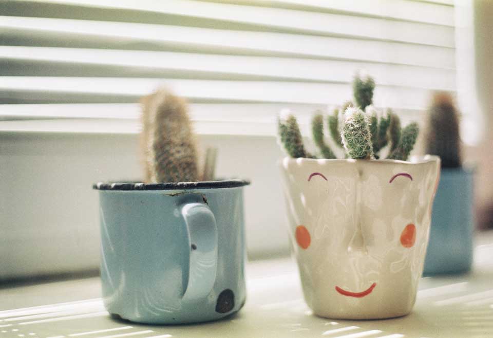 kaffe